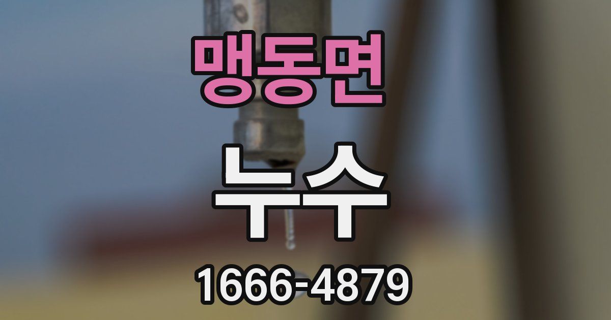 맹동면 누수