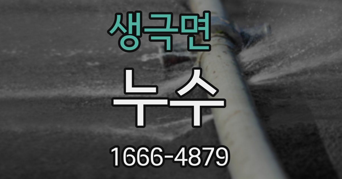 생극면 누수