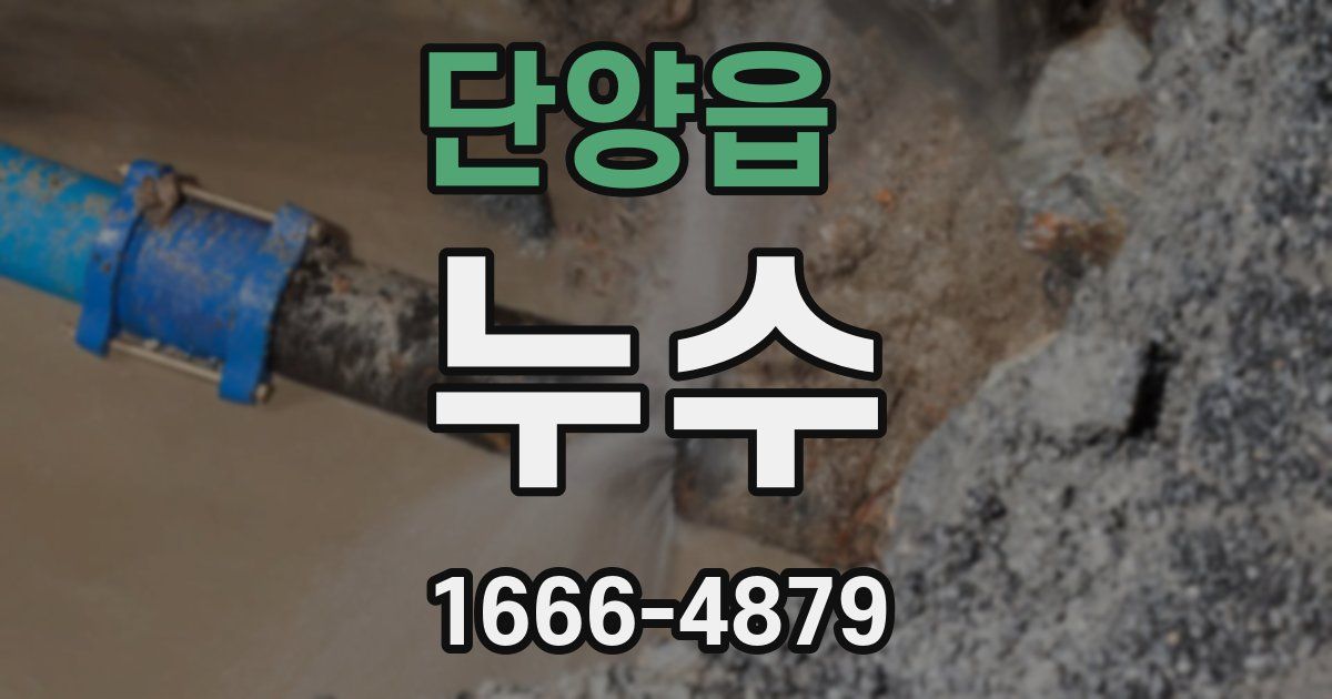 단양읍 누수