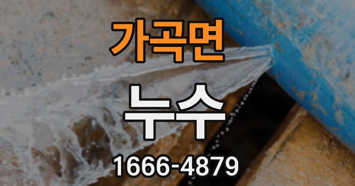 가곡면 누수