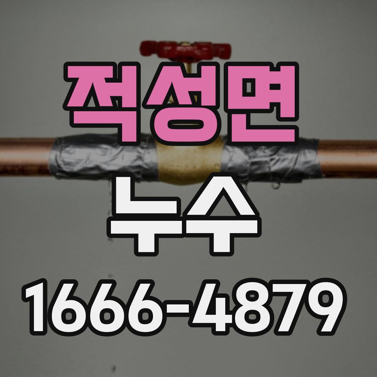 적성면 누수