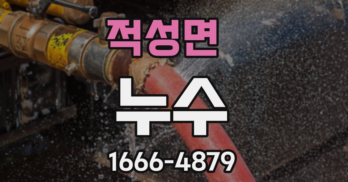 적성면 누수