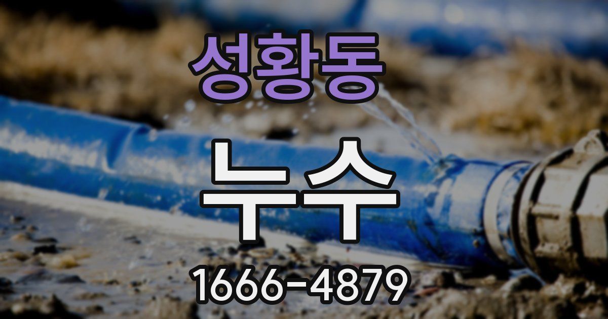 성황동 누수