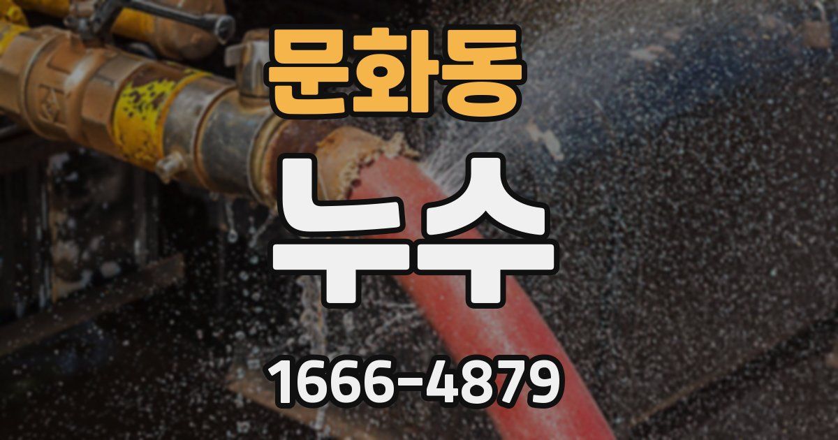 문화동 누수