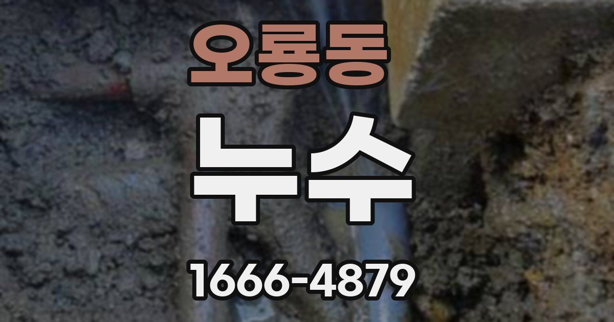 오룡동 누수