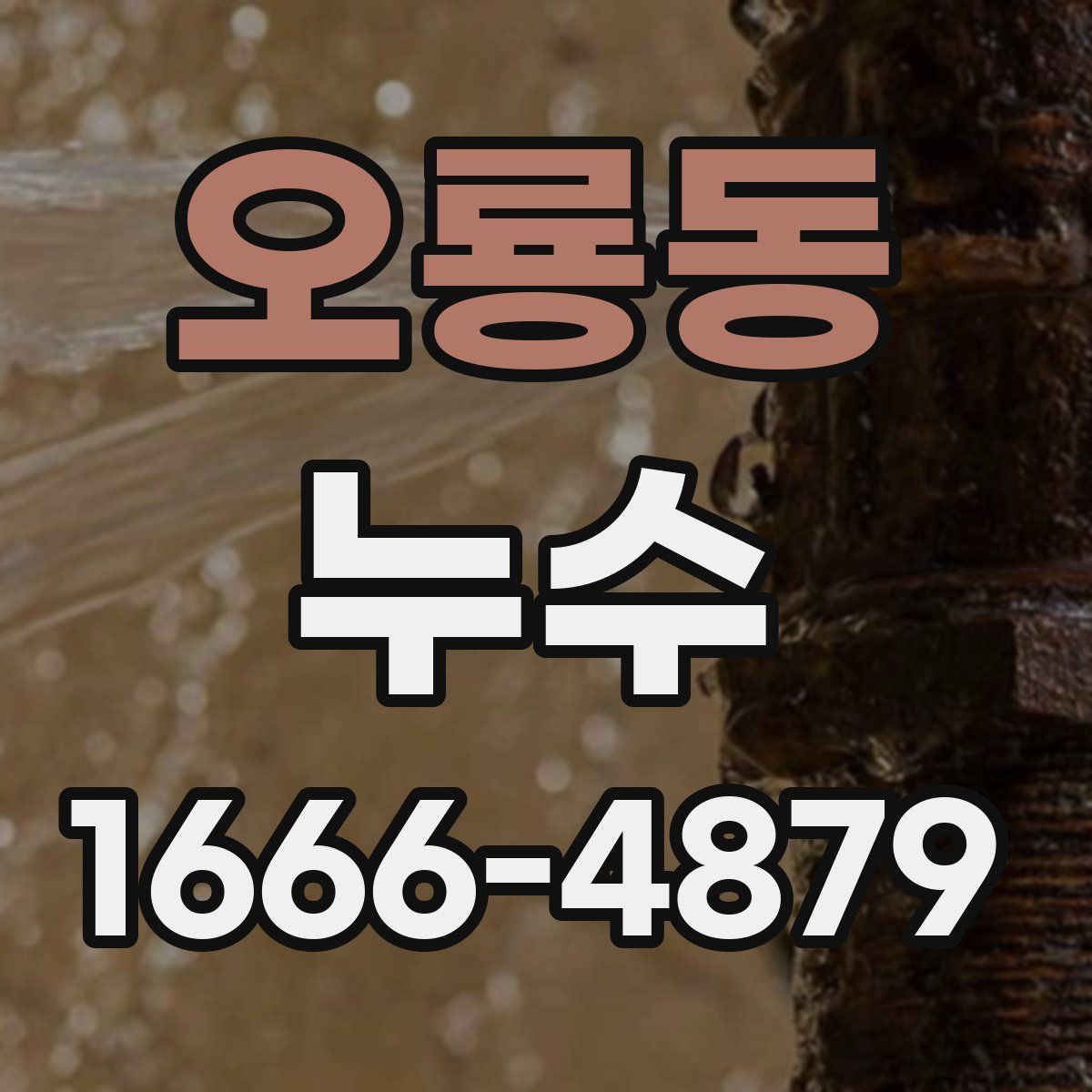 오룡동 누수