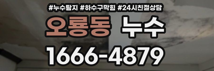 오룡동 누수