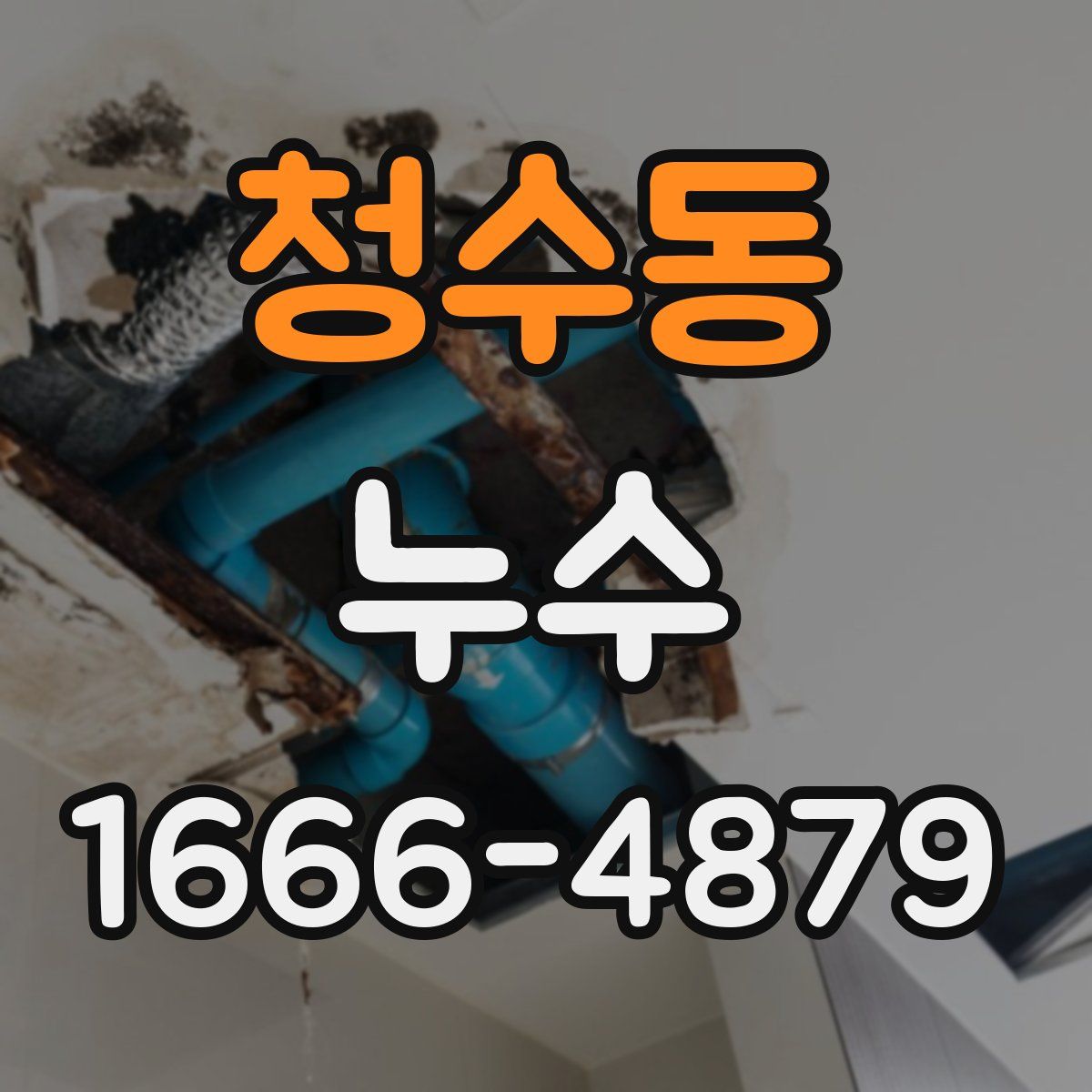 청수동 누수