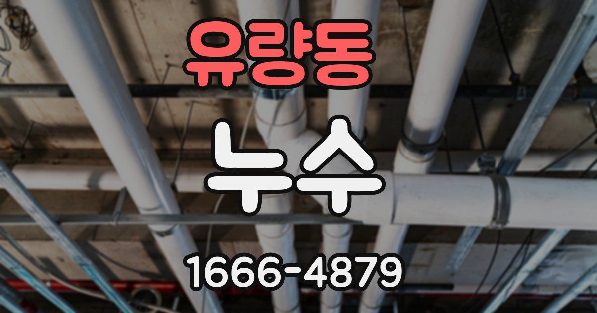 유량동 누수