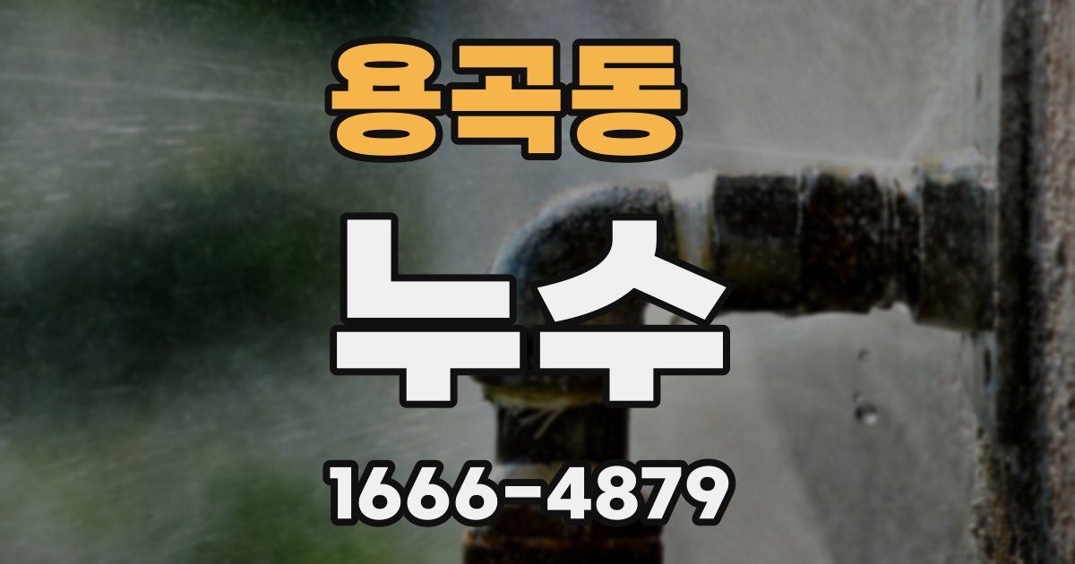 용곡동 누수