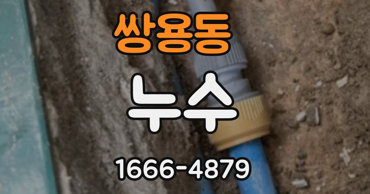 쌍용동 누수