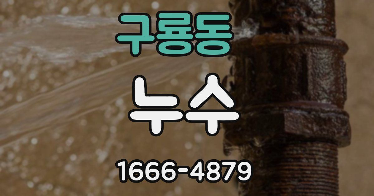 구룡동 누수