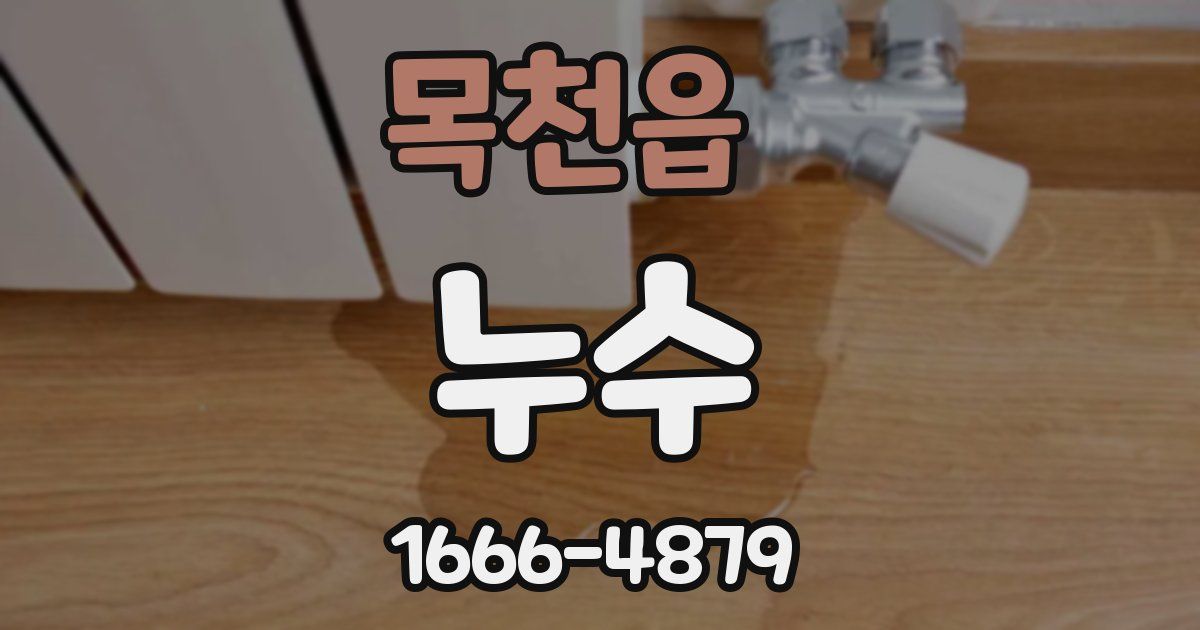 목천읍 누수