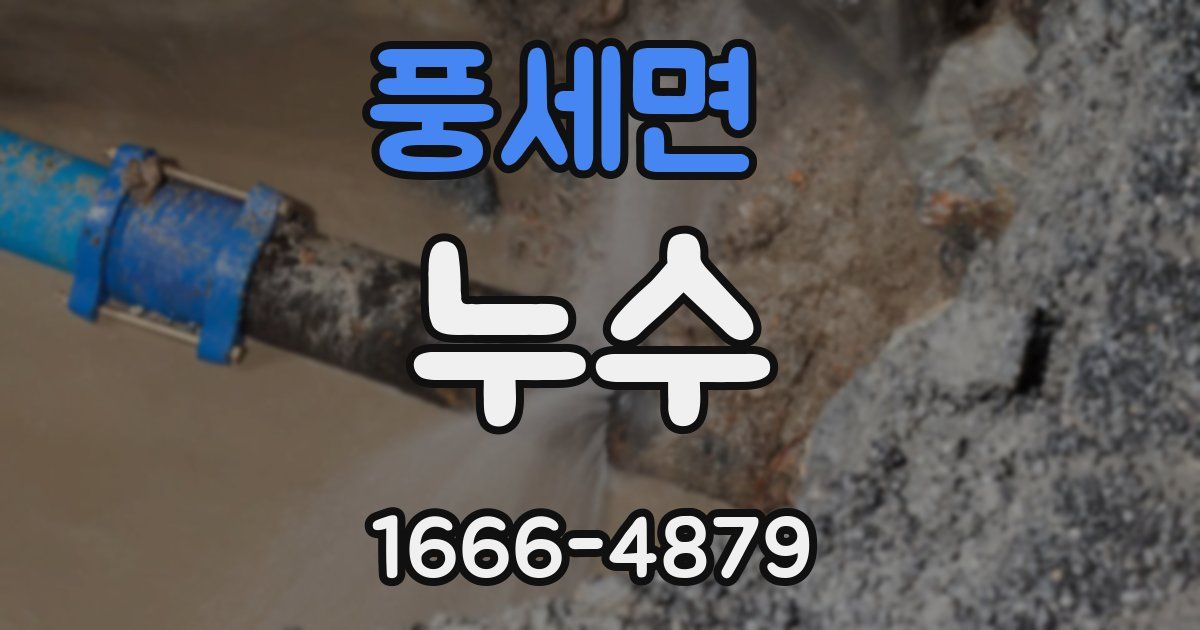 풍세면 누수
