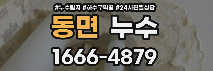 동면 누수