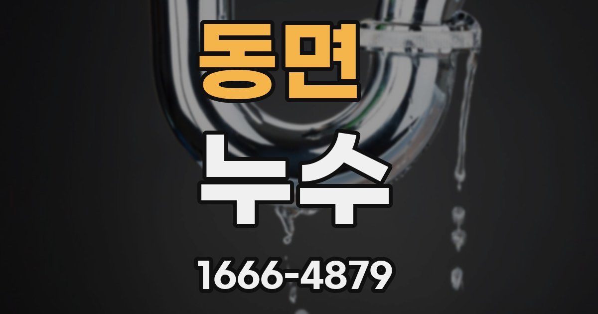 동면 누수