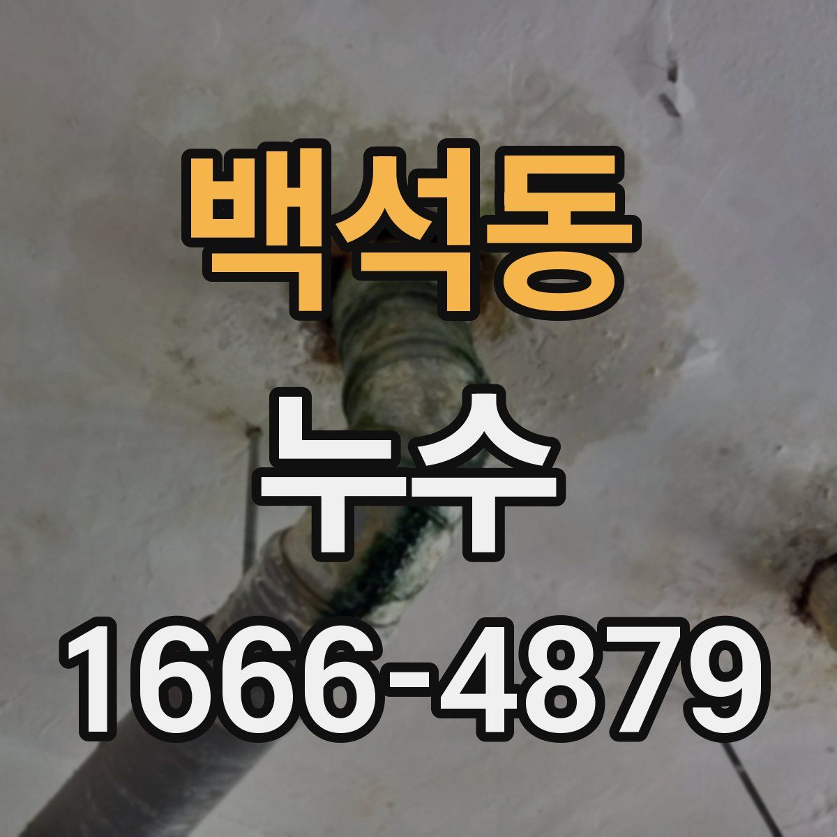 백석동 누수