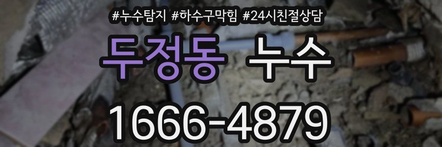 두정동 누수