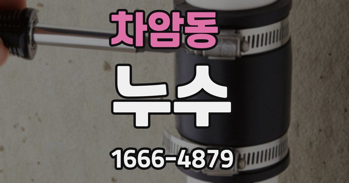 차암동 누수