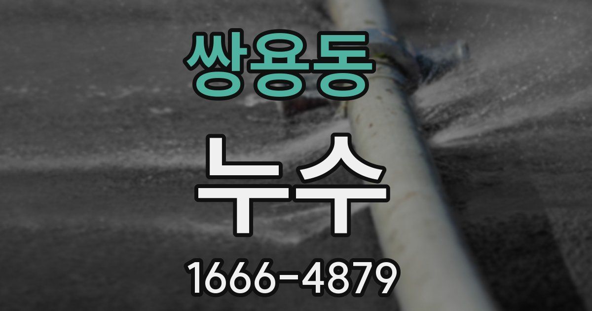 쌍용동 누수