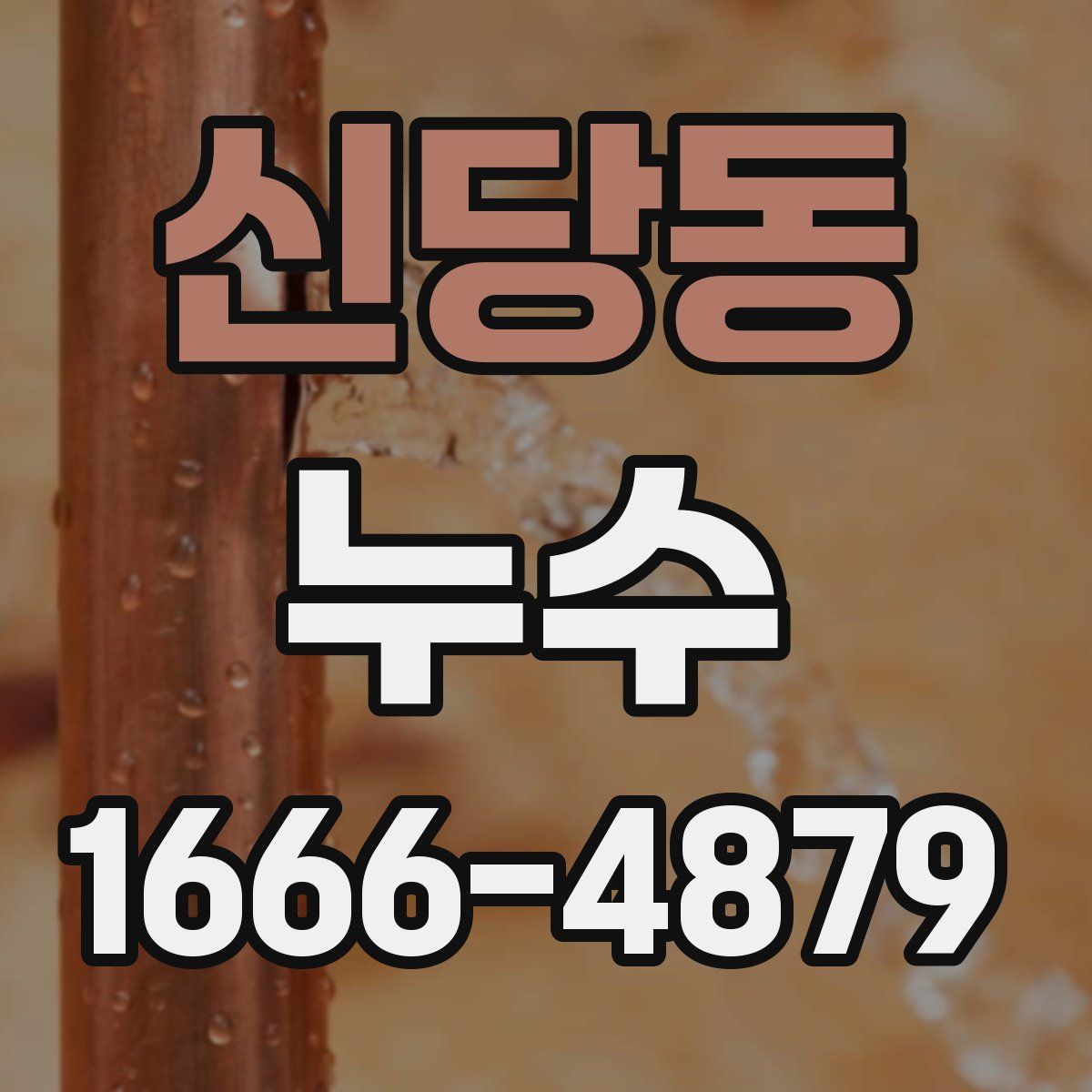 신당동 누수