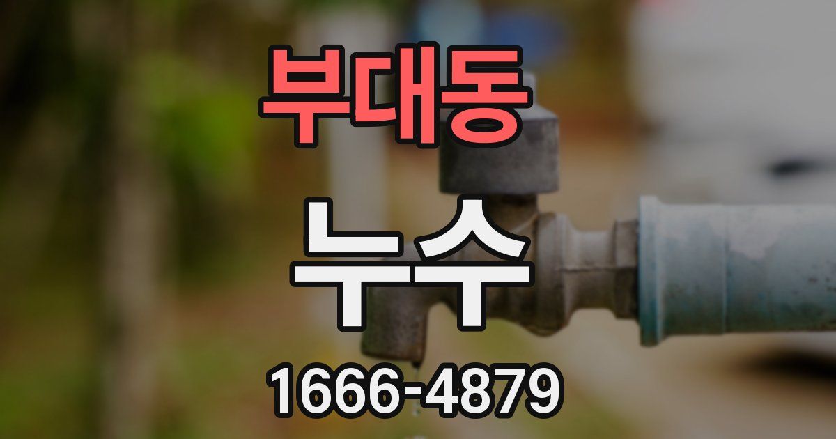 부대동 누수