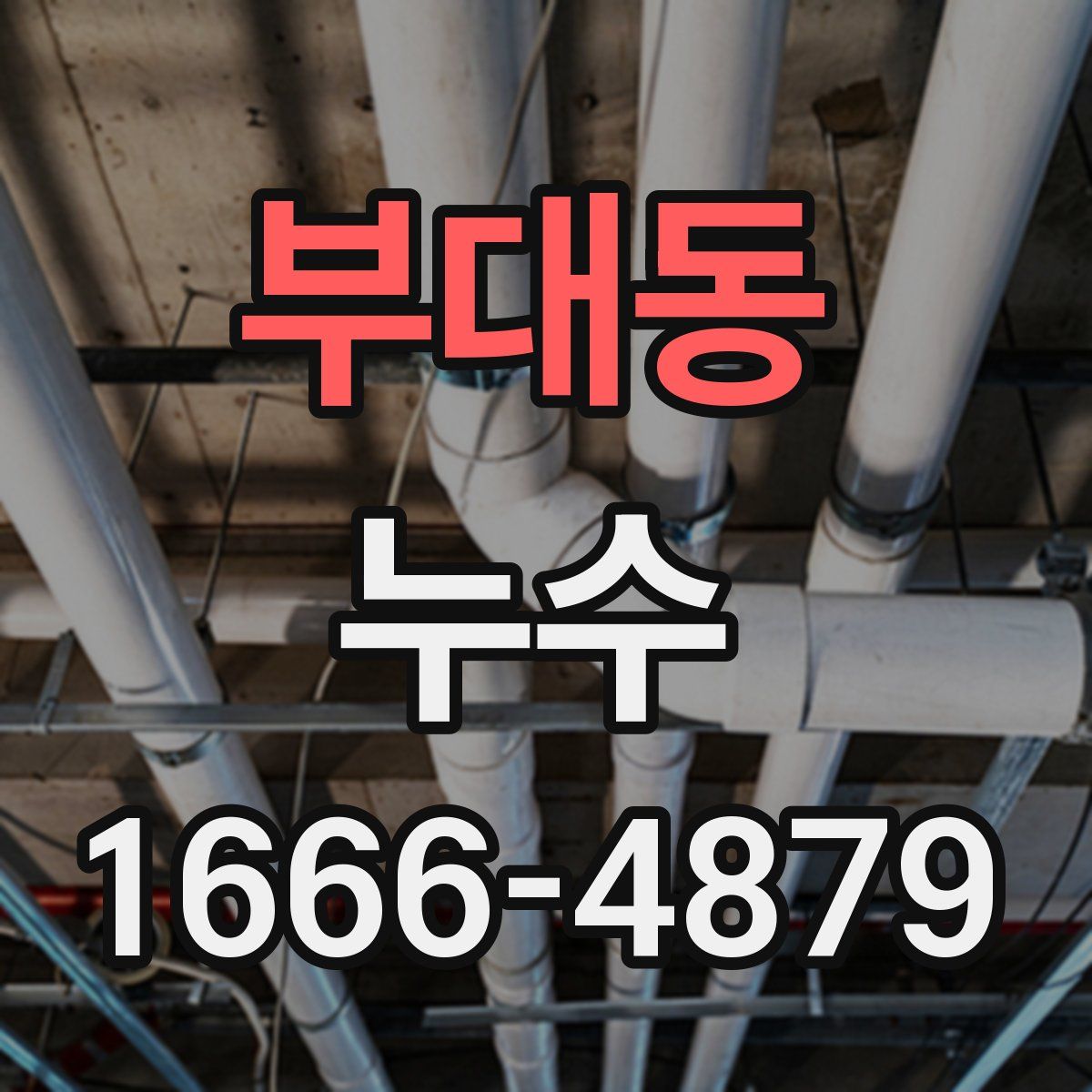 부대동 누수