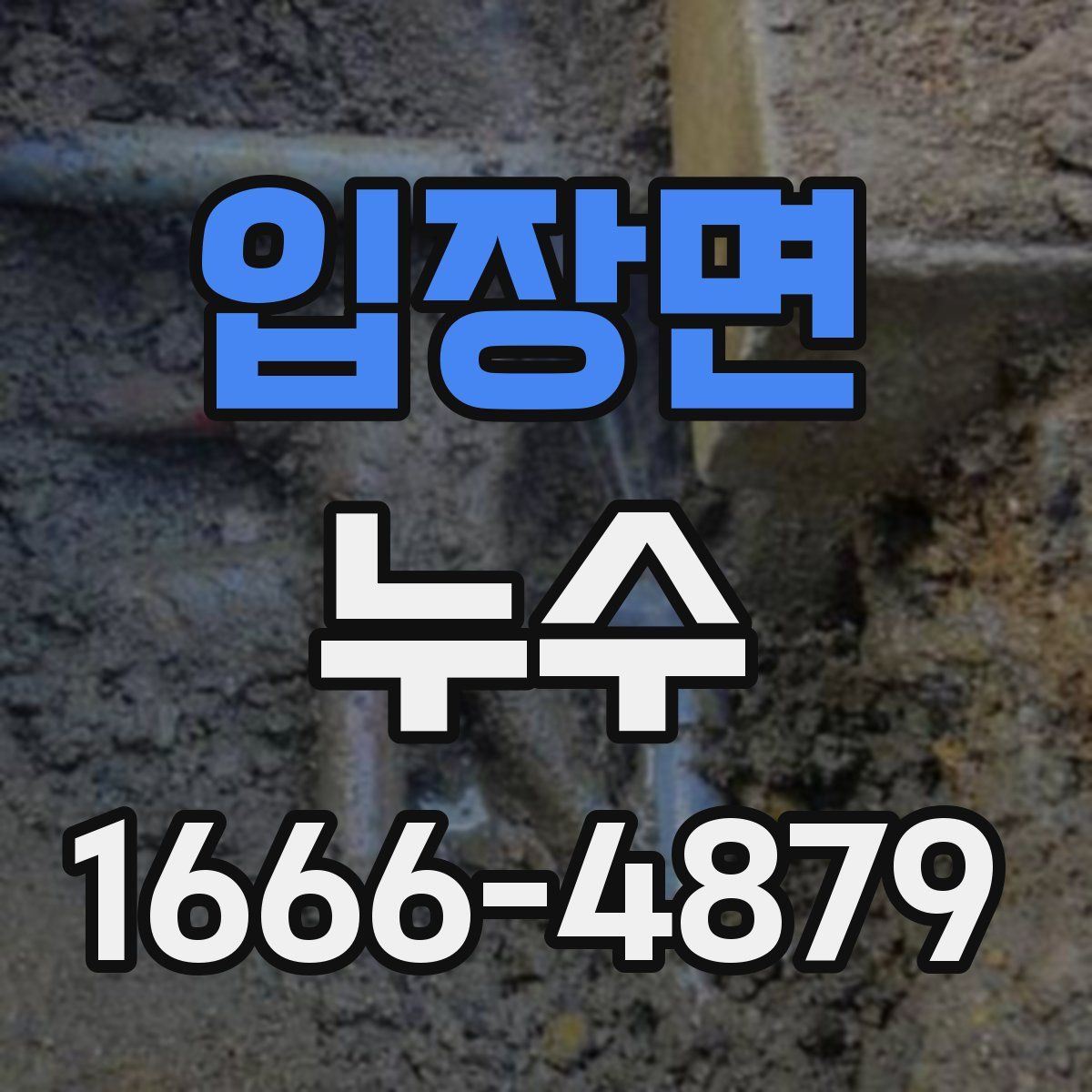 입장면 누수