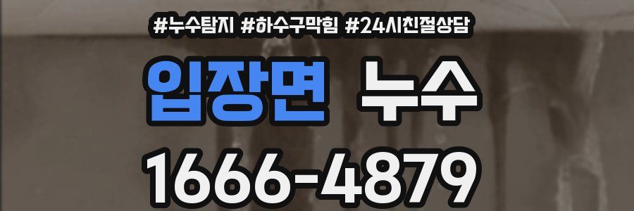 입장면 누수