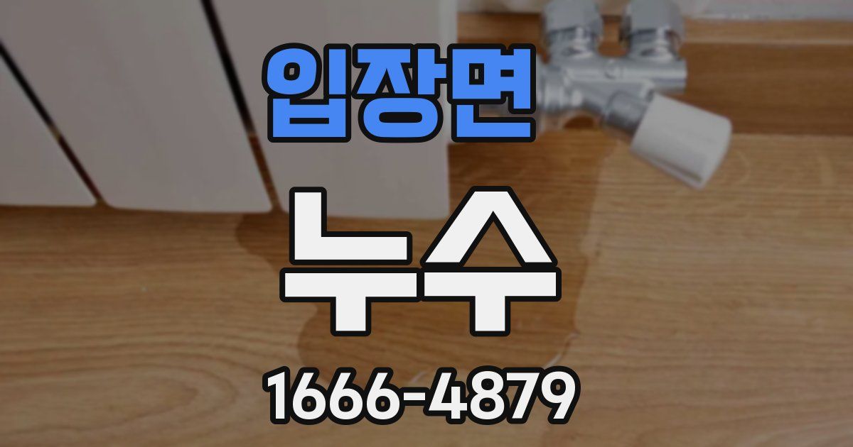 입장면 누수