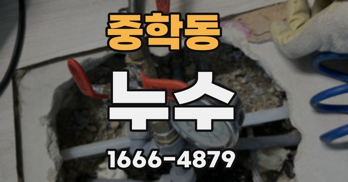 중학동 누수