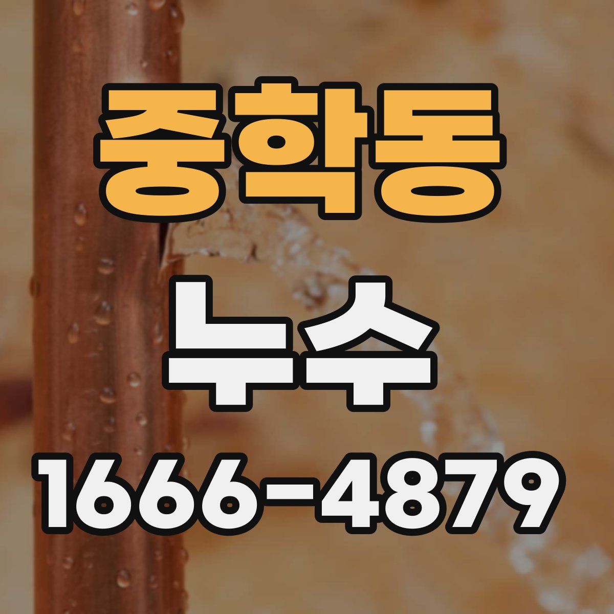 중학동 누수