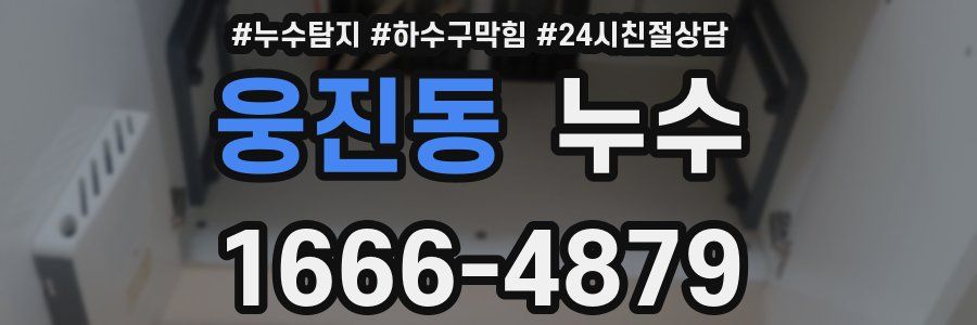 웅진동 누수