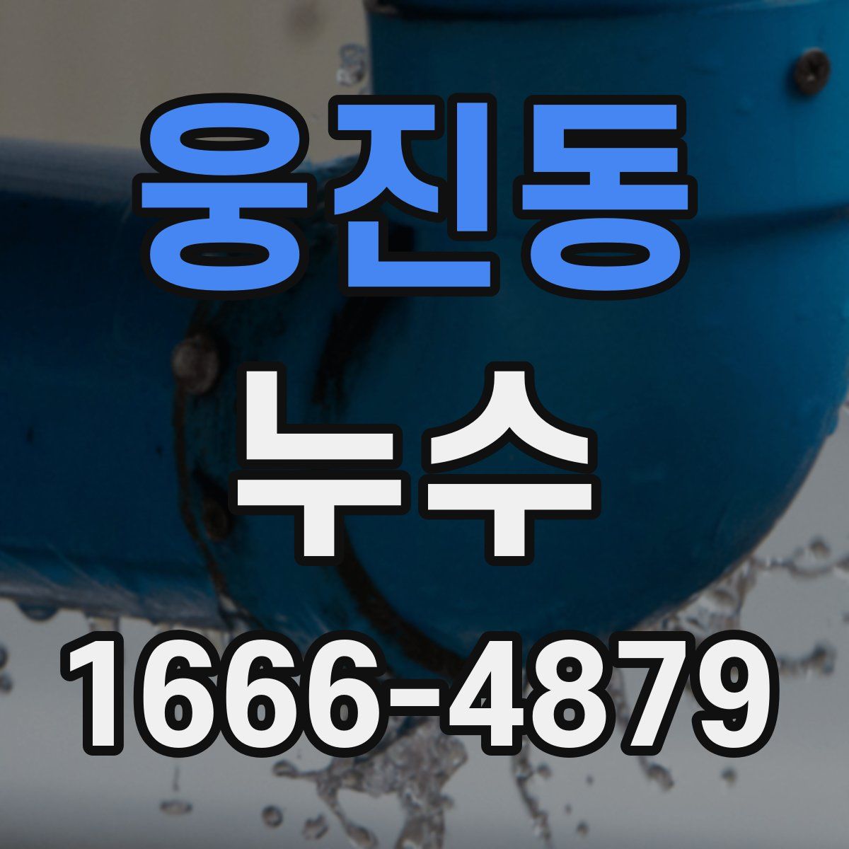 웅진동 누수