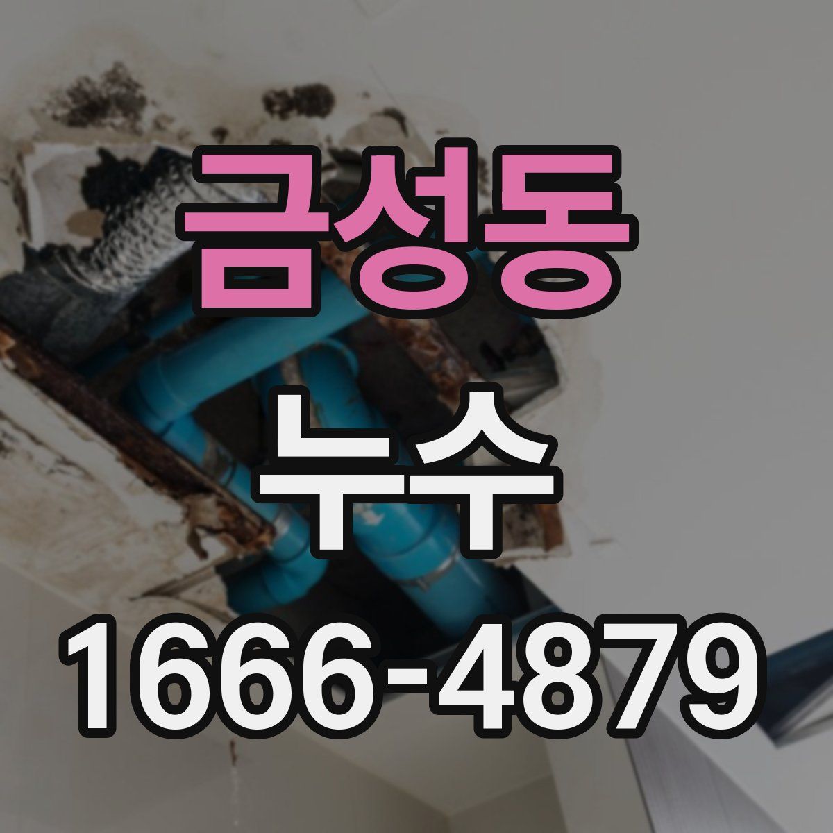 금성동 누수