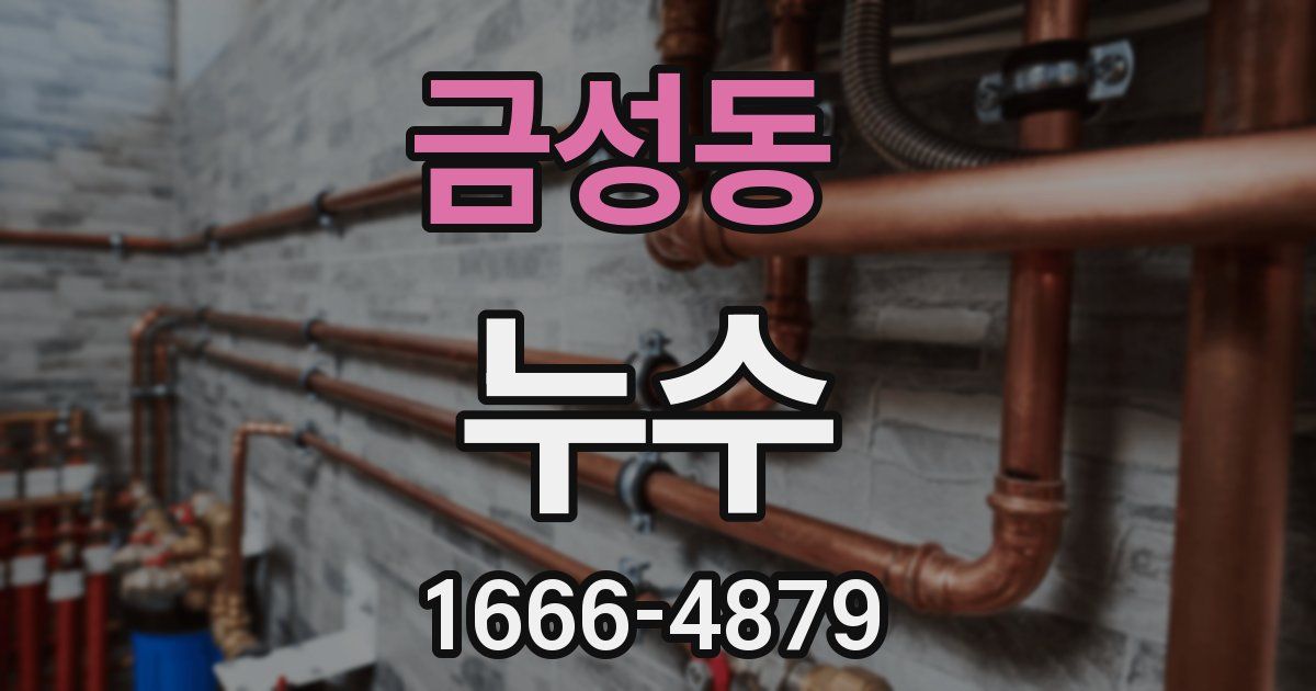 금성동 누수