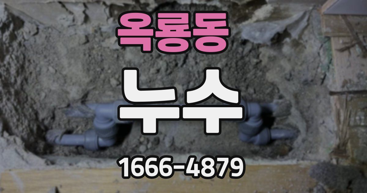 옥룡동 누수