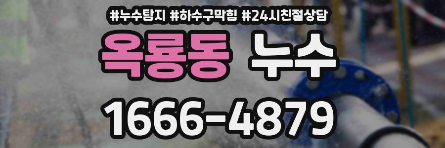 옥룡동 누수