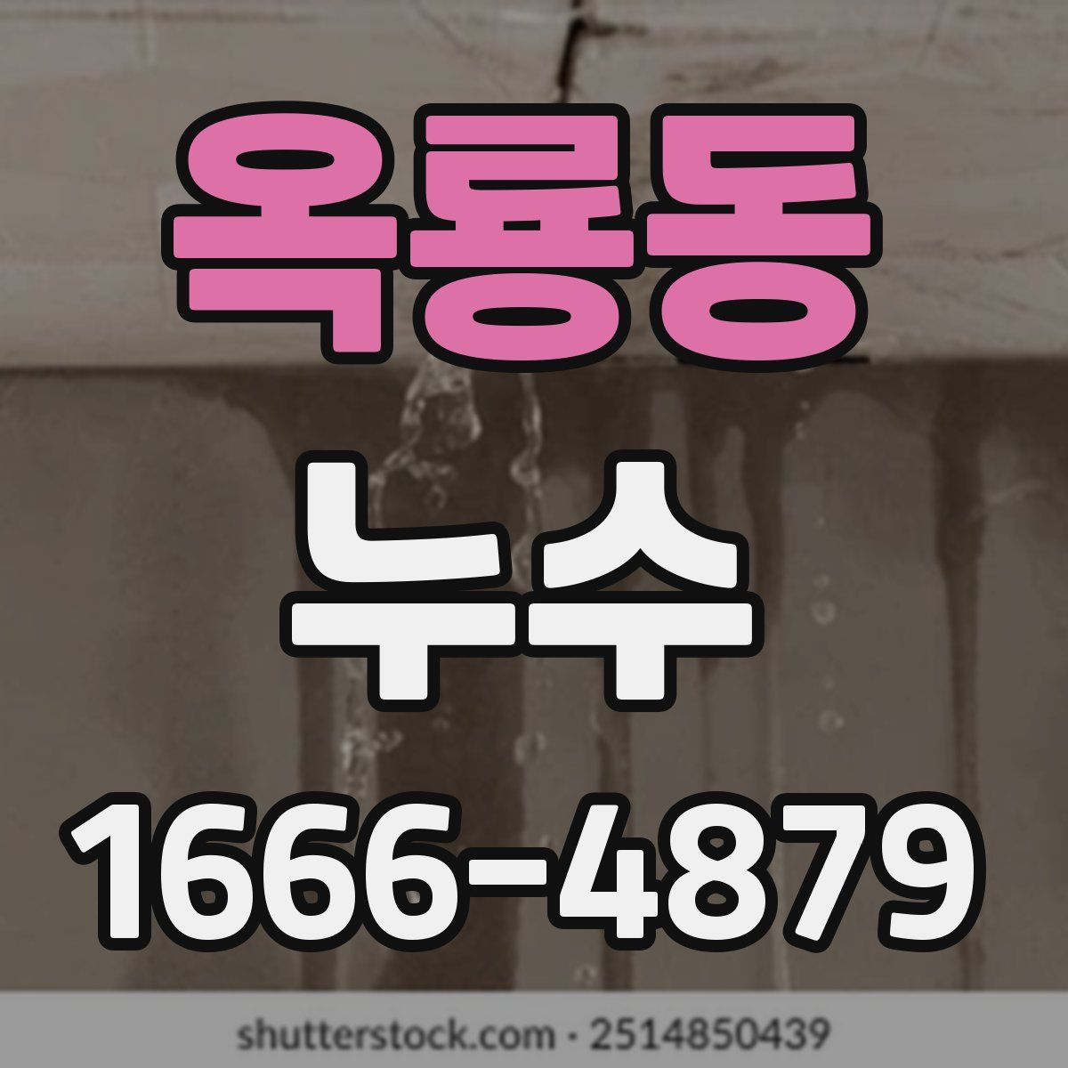 옥룡동 누수