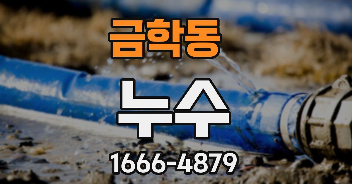 금학동 누수