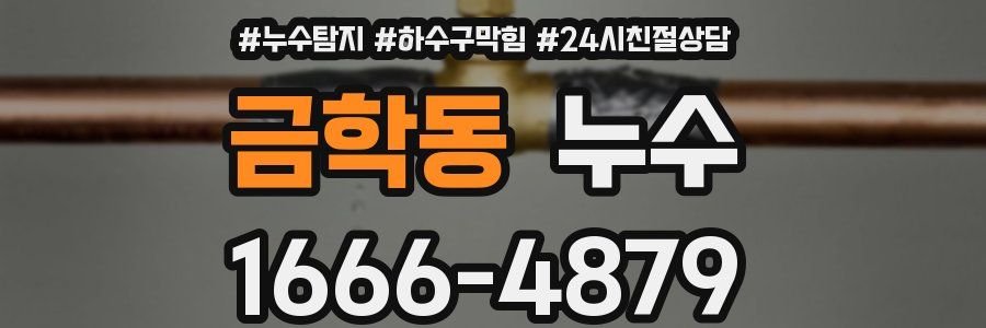 금학동 누수