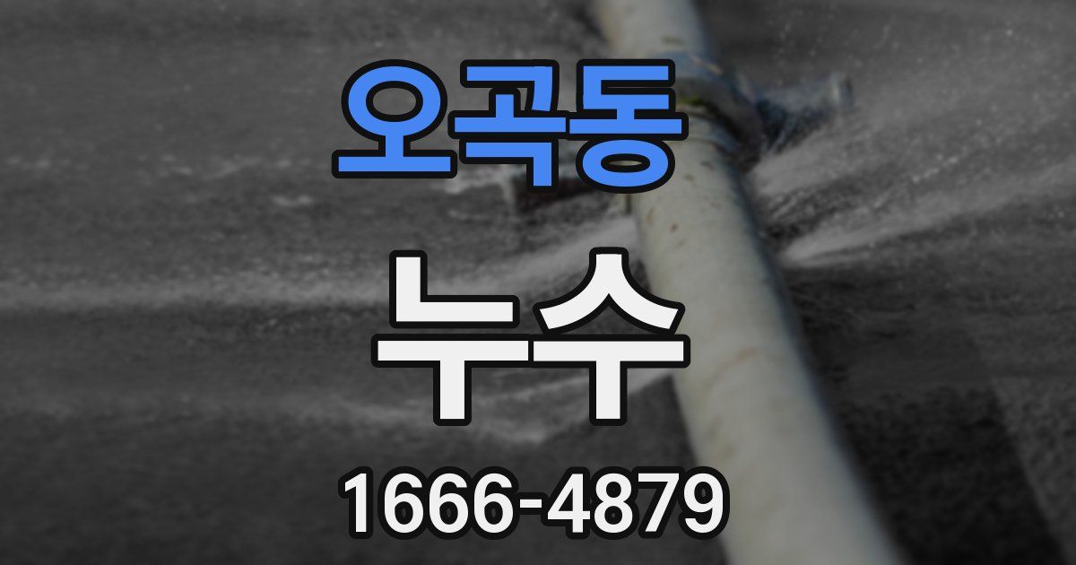 오곡동 누수