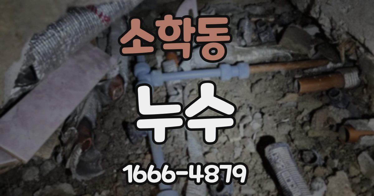 소학동 누수