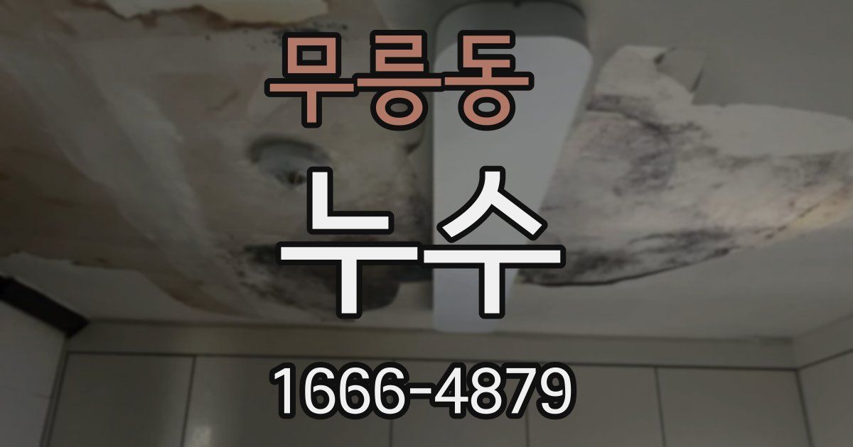 무릉동 누수
