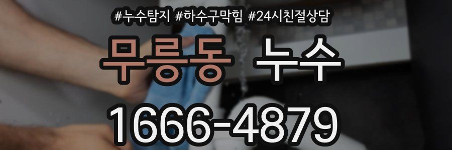 무릉동 누수