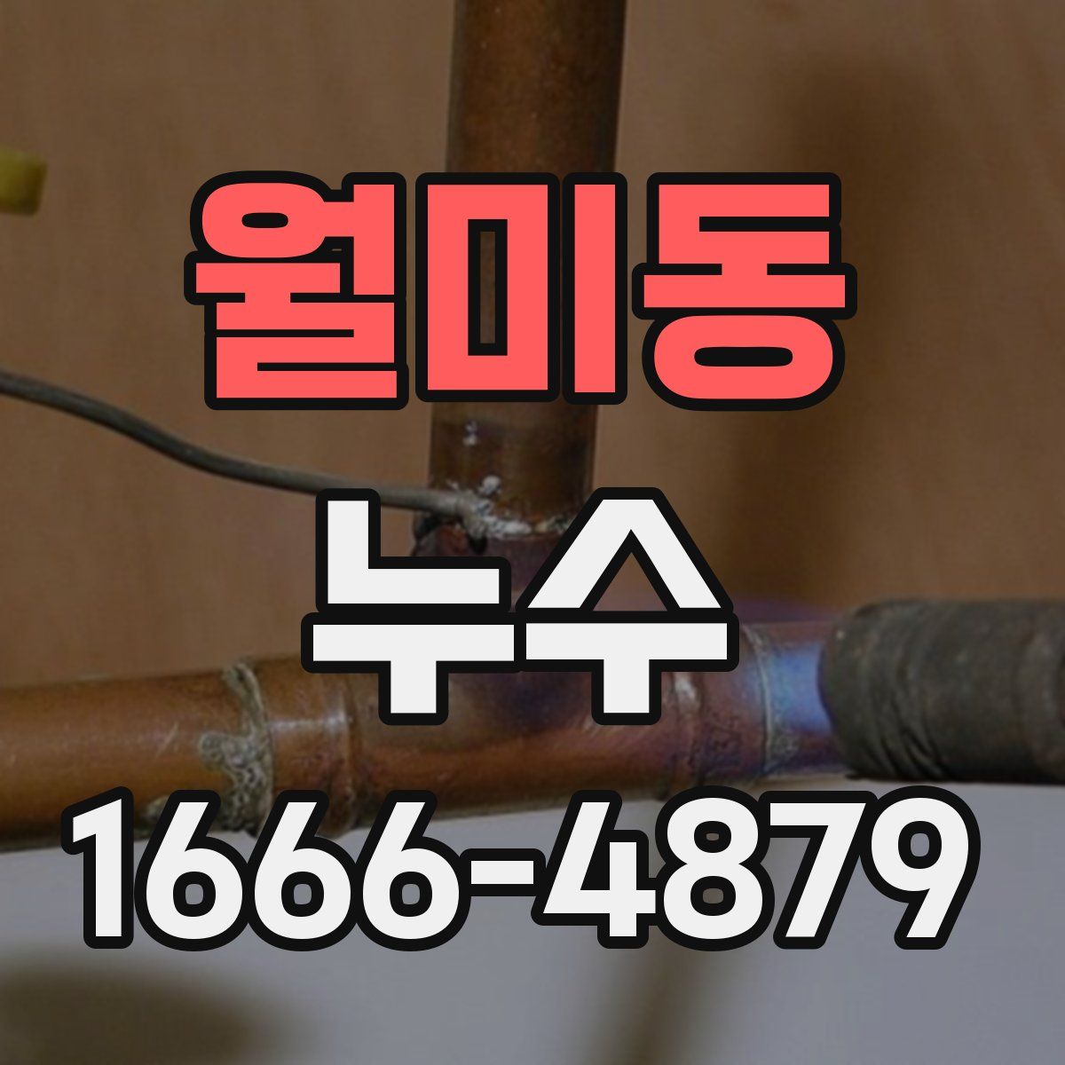 월미동 누수