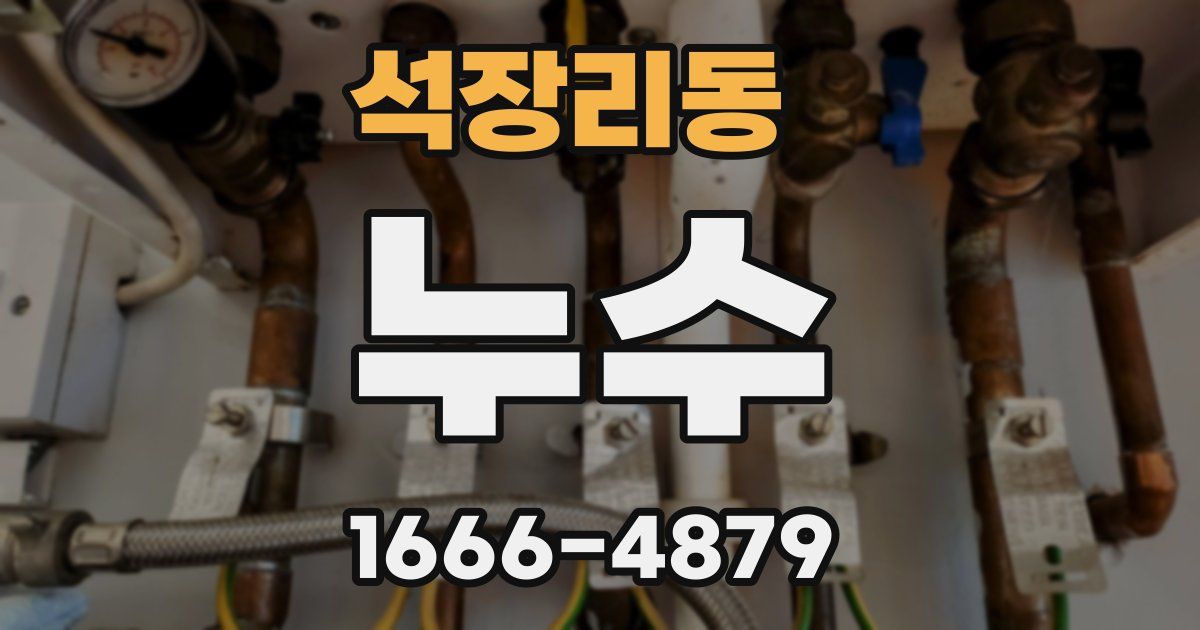 석장리동 누수