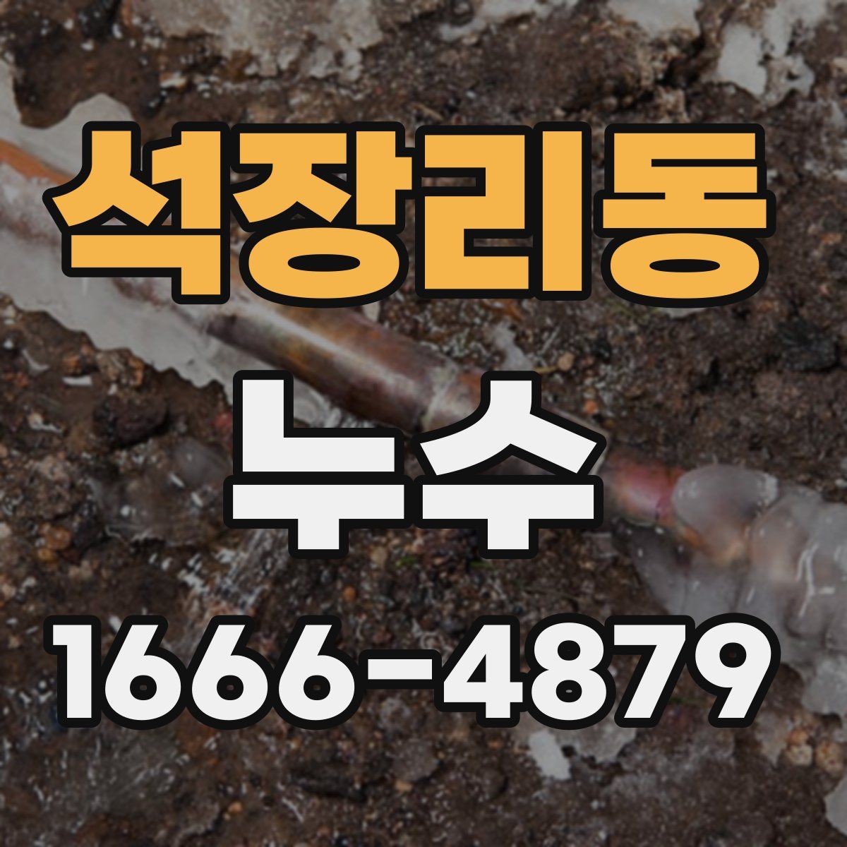 석장리동 누수