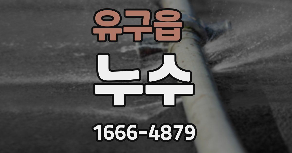 유구읍 누수