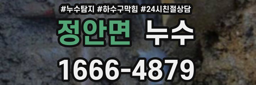 정안면 누수